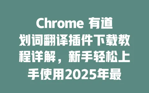 Chrome 有道划词翻译插件下载教程详解,新手轻松上手使用2025年最新指南 一