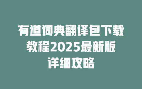有道词典翻译包下载教程2025最新版详细攻略 一