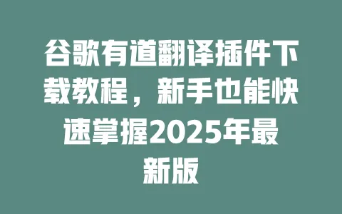 谷歌有道翻译插件下载教程,新手也能快速掌握2025年最新版 一